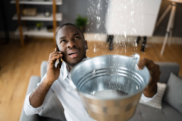 Best Emergency water damage restoration  in Wimauma, FL