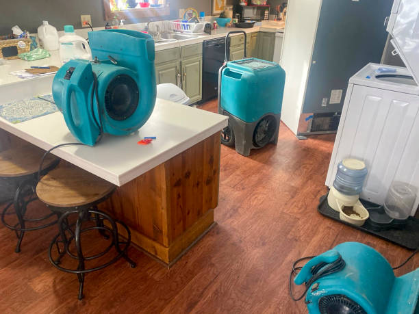 Best Local water damage restoration  in Wimauma, FL