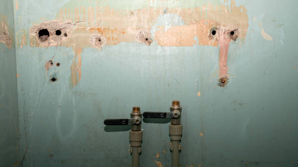 Best Emergency water damage restoration  in Wimauma, FL
