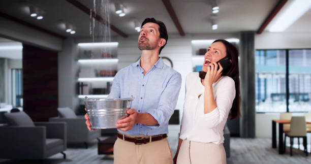 Best Water damage restoration experts  in Wimauma, FL