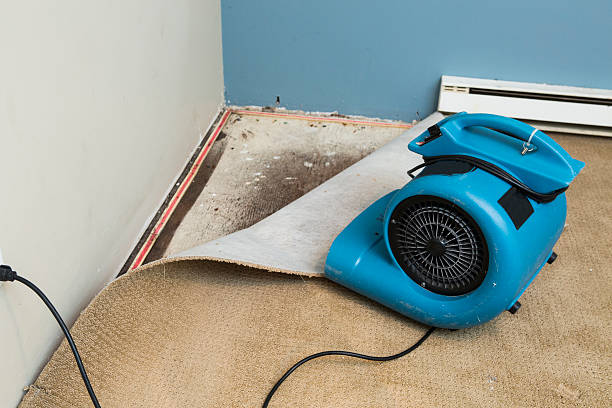 Best Emergency water damage restoration  in Wimauma, FL